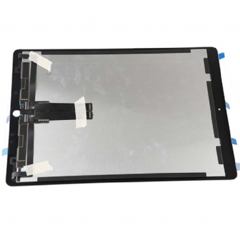 iPad Lcd screen